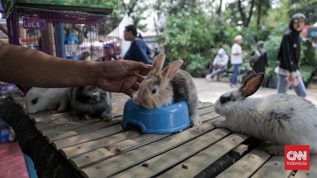 FLONA 2026 Resmi Dibuka di Lapangan Banteng, Warga Bisa Masuk Gratis